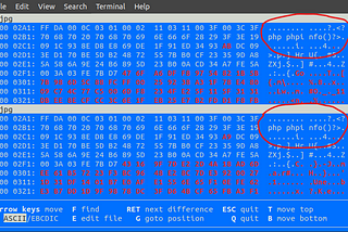 Remote Image Upload Leads to RCE (Inject Malicious Code to PHP-GD Image)