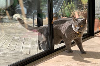 Weeknotes —The Start of Spring (28th Feb — 4th March)
