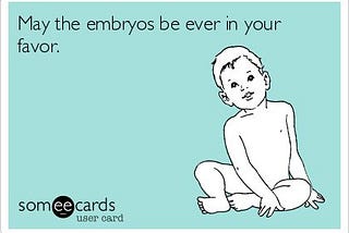 Embryo Update