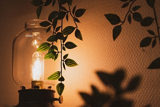 Closeup of old-style lamp. The Morning Writing Habit I Can’t Live Without. Nikki Abelson.