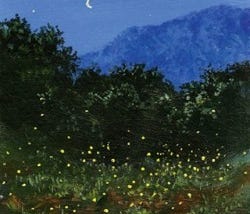 The Soul of a Firefly