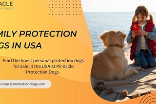 Family Protection Dogs in USA | Pinnacle Protection Dogs