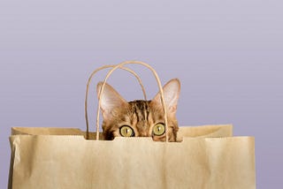 Finding Luck in Unlikely Places