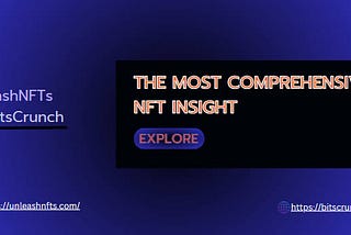 BitCrunch The Depths of NFT Insight
