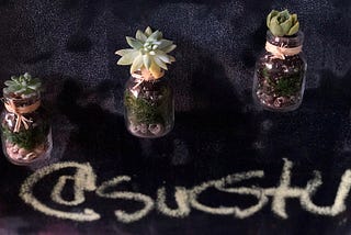Magnetic Succulent Cutting Planters