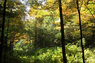 God or Nature