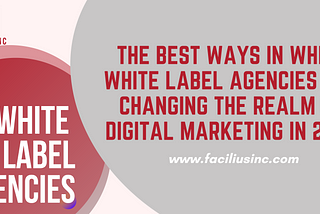 The Best Ways in Which White Label Agencies Are Changing the Realm of Digital Marketing in 2022