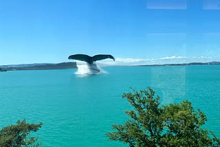 AI generated image of a blue whale’s tail appearing from Lake Zug, Switzerland
