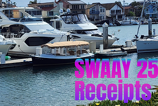 Swaay Conference 2025 Recap: Where Healthcare Marketing Met Sunshine, Style, and Serious Impact