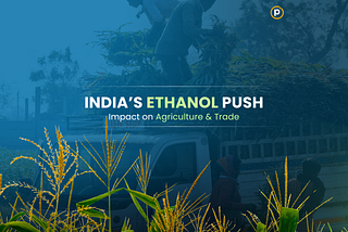 India’s Ethanol Push: Balancing Energy Security, Agriculture, and Sustainability