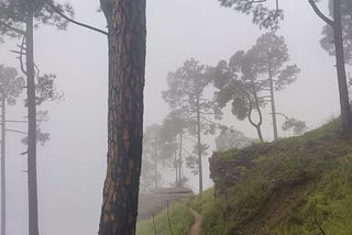 I left a piece of myself on these trails — Travel Stories India