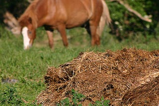 Pile of horse manure with a horse in the background