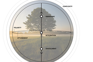 Map of Authentic Stewardship