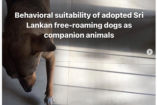 Behavioural suitability of Sri Lankan urban free roaming dogs as companion animals