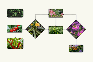 What is a Digital Garden?