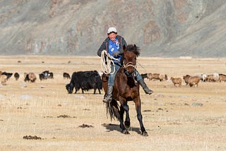 Zen and the art of horse maintenance in Mongolia