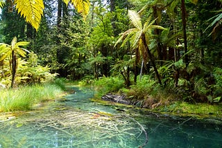 Education for Sustainable Development, Traditional Knowledge and Resilience — 
A Pacific Islands…