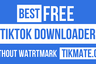 TikMate: Your All-in-One TikTok Video Saver
