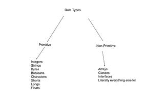 Introduction to Data Types