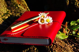 Journal Therapy