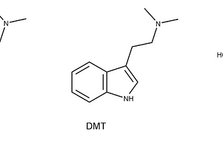 DMT: Past, Present, Future - Part 1