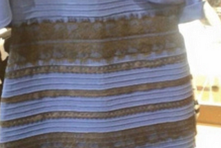 “The Dress” and Uncovering the Hidden Uncertainties in Visual Perception