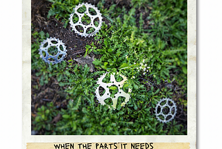 Cogs from a bicycle wheel are strewn on the ground