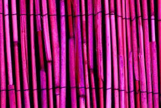 a set of purple bamboo sticks laid in an array