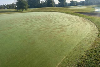 Dry Heat! Drought, LDS, Lance Nematodes, CDGA Field Day and Wetting Agent Research
