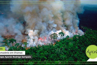 [Papo Apenã #11] Amazônia em Chamas — Mylena Diniz e Rodrigo Sampaio
