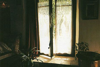 Morning Light, Marin County, California