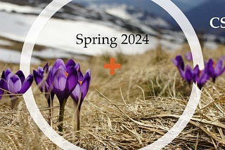 An image of early-spring flowers in the mountains. Text reads: “Spring 2024”