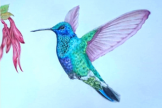 Hummingbird