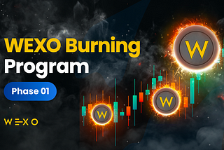 WEXO Burning Program
