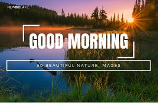 Start Your Day on a Positive Note with these Natural Good Morning Pictures