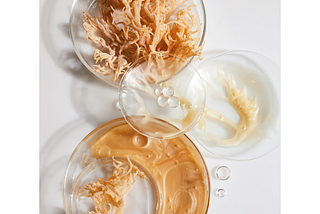 Unveiling the Remarkable Benefits of Sea Moss
