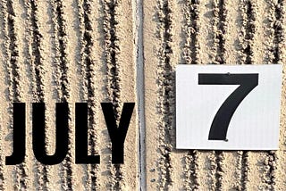 52-Week Photography Project: July 2025 Edition