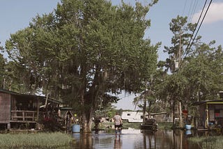 Film still from Belle River showing the back of a man in a grey t-shirt, black shorts, and rubber boots, standing underneath a tree and up to his calves in calm water, which is filling the space between two houses. The house to his left is built on stilts.