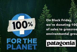 Patagonia Green marketing example