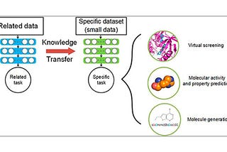 Snowflake in drug discovery: Fine tuned ChemBerta for toxicity prediction