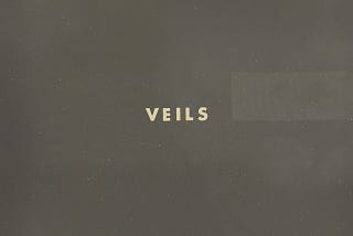 Album Review | ‘Veils’ by Vanessa Carlton