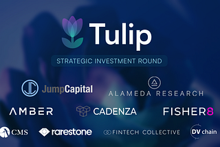 Tulip Protocol raises $5M from Jump Capital, Alameda Research, Amber Group, Cadenza Ventures &…