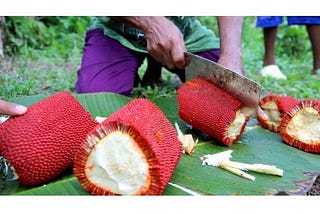 kapsul buah merah