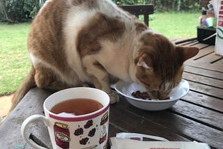 The Great Ground Coffee Bag Conspiracy