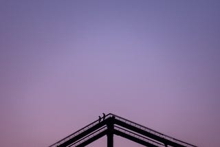 Soar