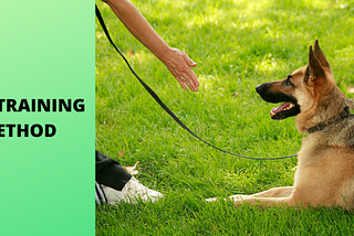 Dog Training methods — which method is best for my dog?