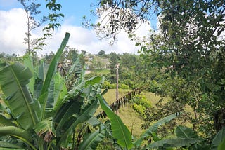 mountains of Caguas, Puerto Rico