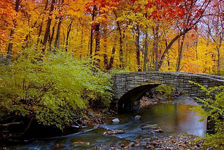 Autumn Bridge, Chicago, Illinois