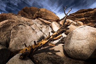 The Real Secret to Creating Powerful Images Starts Before You Pick Up the Camera