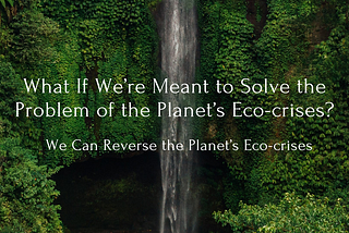 What If We’re Meant to Solve the Problem of the Planet’s Eco-Crises?